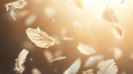 Naklejka premium Ethereal Dance: White Feathers Floating in Golden Light, Soft Focus Dreamscape