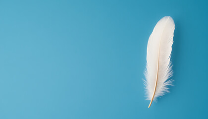 Obraz premium A single white feather, delicately posed against a bright blue backdrop, embodying themes of lightness, simplicity, and natural beauty.