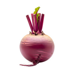 Single Red Beetroot with Green Stems and Roots on a Black Background root vegetable