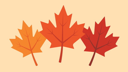 Flat illustration of three maple leaves