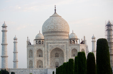 Fototapeta premium The Taj Mahal is the pinnacle of Mughal architecture and a symbol of India's rich history. It was a UNESCO World Heritage Site in 1983.