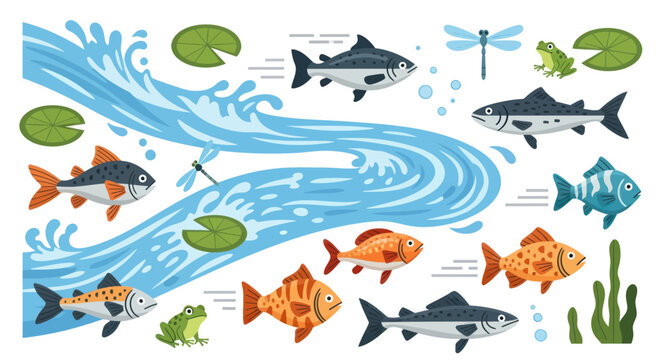 Colorful flat vector illustration of a freshwater ecosystem with a river various fish frogs and lily pads.