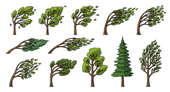 Collection of Trees in Various Styles Including Wind-Swept and Evergreen.