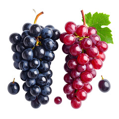 Fototapeta premium Two grape bunches, one dark purple and one red, with leaves, isolated on black