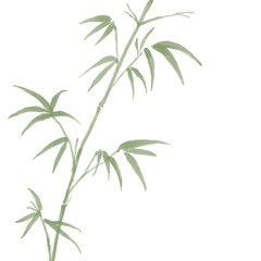 Chinese style ink bamboo illustration