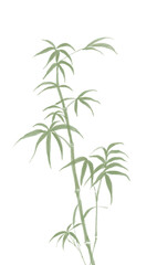 Fototapeta premium Chinese style ink bamboo illustration