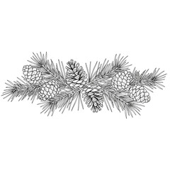 Hand-drawn horizontal chapter divider with elegant pine cones and fir needles intertwined