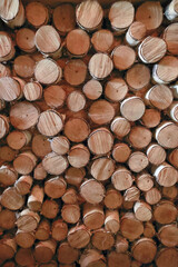 Fototapeta premium Vertical Background Of A Decorative Wall Made From The Ends Of Birch Logs Of Various Sizes. Rustic Interior Design And Natural Pattern.