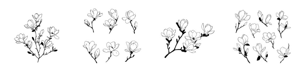 Set of hand drawn magnolia flower branches and blossoms outline collection
