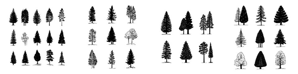 Collection of hand drawn pine and deciduous tree silhouettes and outlines © schmidt