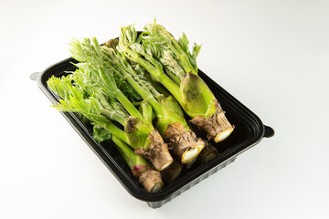 edible shoots of a fatsia