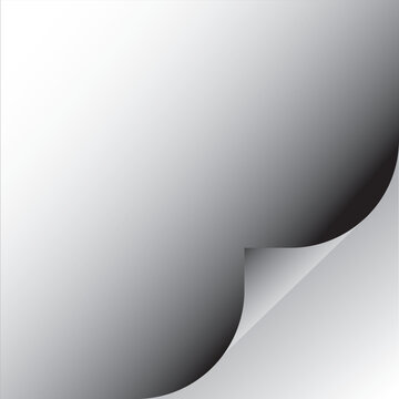 black and whait gradient curled paper page Vector Image.