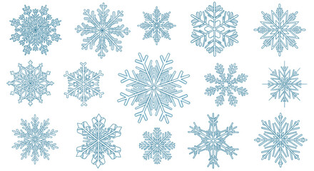 A collection of unique and intricate snowflake designs showcasing winter's natural beauty.