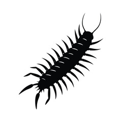 Centipede Silhouette