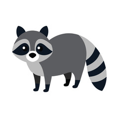 Raccoon