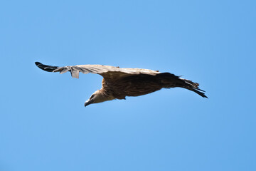 03032024-_DSC2737.NEF