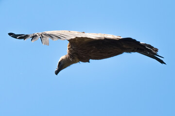 03032024-_DSC2738.NEF