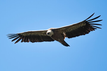 03032024-_DSC2733.NEF