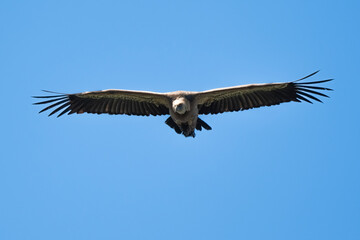 03032024-_DSC2741.NEF