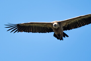03032024-_DSC2744.NEF