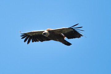 03032024-_DSC2731.NEF