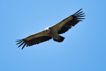 03032024-_DSC2746.NEF