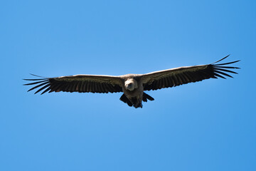 03032024-_DSC2742.NEF