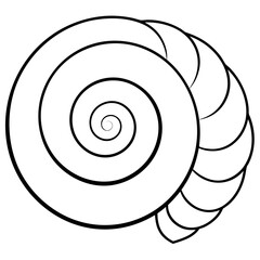 Spiral shell showcases natures perfect geometry and fibonacci sequence in a mesmerizing and elegant form