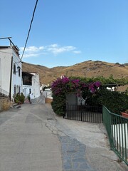 narrow street in the village