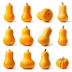 A collection of several butternut squashes with their characteristic elongated shape and smooth skin, showcasing the vibrant orange color. There is one smaller pumpkin in the corner.