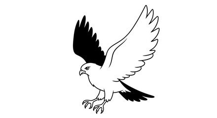 Obraz premium Elegant monochrome illustration of an eagle soaring with widespread wings ready to capture the sky