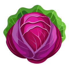 Fototapeta premium Vibrant red cabbage with crisp green leaves, a modern culinary delight for healthy recipes and fresh food concepts, perfect for farm-to-table menus and vegetarian dishes