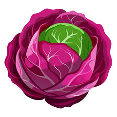 Obraz premium Vibrant red cabbage with fresh green heart, perfect for healthy recipe illustrations, vegan menus, and eye-catching food designs, a versatile ingredient for culinary projects