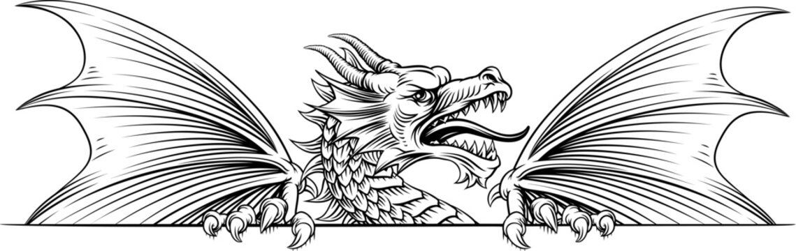 A dragon sign banner illustration in a medieval vintage woodcut style