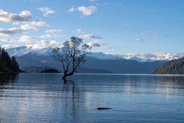 wanaka landscapes