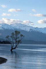 wanaka landscapes