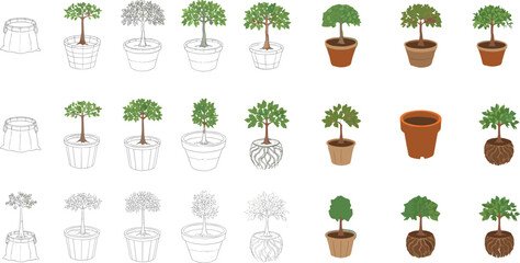 Potted plant cartoon illustration set showing growth stages from outline to color with different pots on white background vector design
