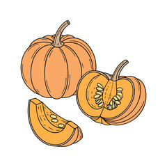 vector illustration of pumpkin