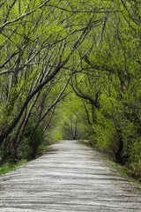 Glenorchy Landscapes