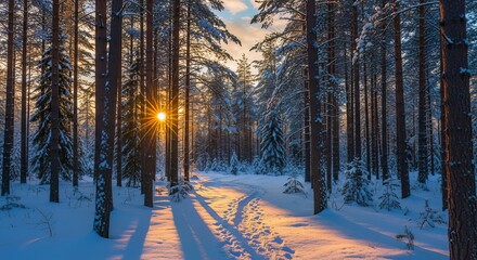 Beautiful Winter Season Landscape with Snow and Frost
