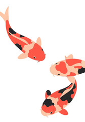 Three Flat Design Japanese Koi Fish Vector Illustration
