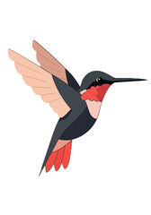 Flat Style Vector Illustration of a Flying Hummingbird