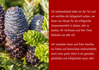 Grußkarte Weihnachtsgrüße zum Jahreswechsel für Geschäftskunde im B2B Bereich.
Business Wünsche zu Weihnachten und Silvester für das neue Jahr.