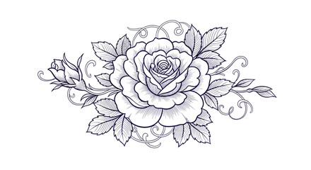 Delicate rose blossom illustration with swirling stems, detailed petals and foliage design