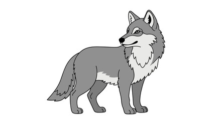 A gray wolf stands alert and surveys its surroundings with keen eyes.