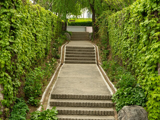 Stairs in the center of the park