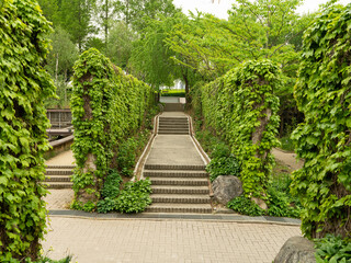 Stairs in the center of the park