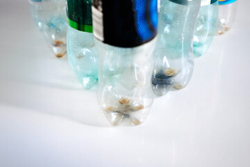 empty plastic bottles with a lid