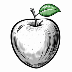 Apple Sketch Line Art