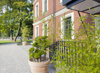 View of a red brick building on a city street on a sunny summer day